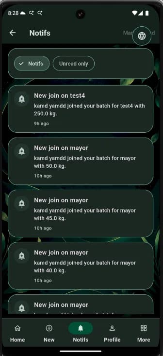 BatchIt screen 4