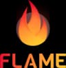 Flame logo